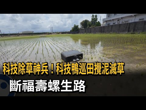 科技鴨機器人的現代永續生態解方